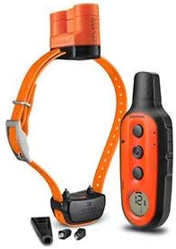 31jswpCttjL._AC_SY350_