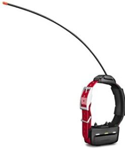 Garmin TT 15 Dog Device