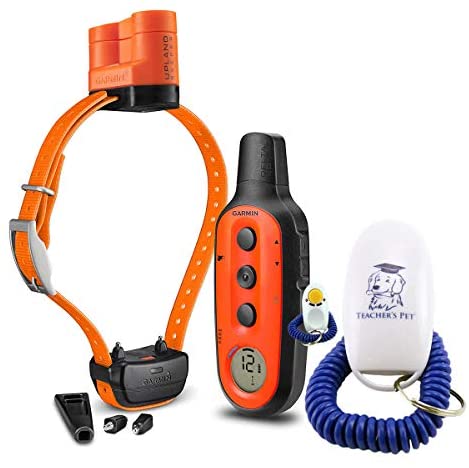 412jYw0vLXL._AC_SY1000_