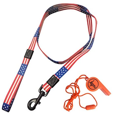 41DUNIoPp3L._AC_SY780_