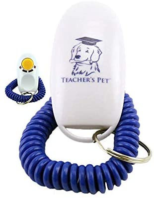 41nq+lRp1FL._AC_SY1000_