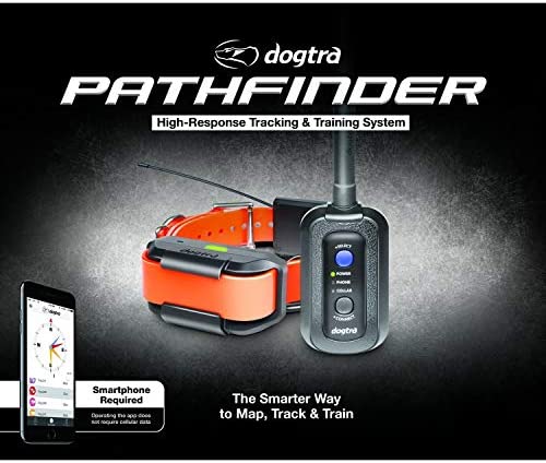 51eKMaBbZ9L._AC_SY580_