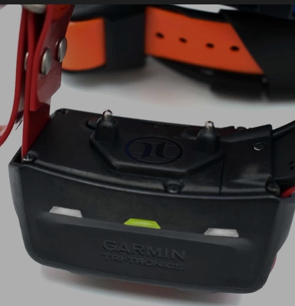 Screenshot_20210429-080118_Samsung Internet