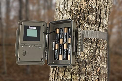 51-YR1TKMGL._AC_SY350_