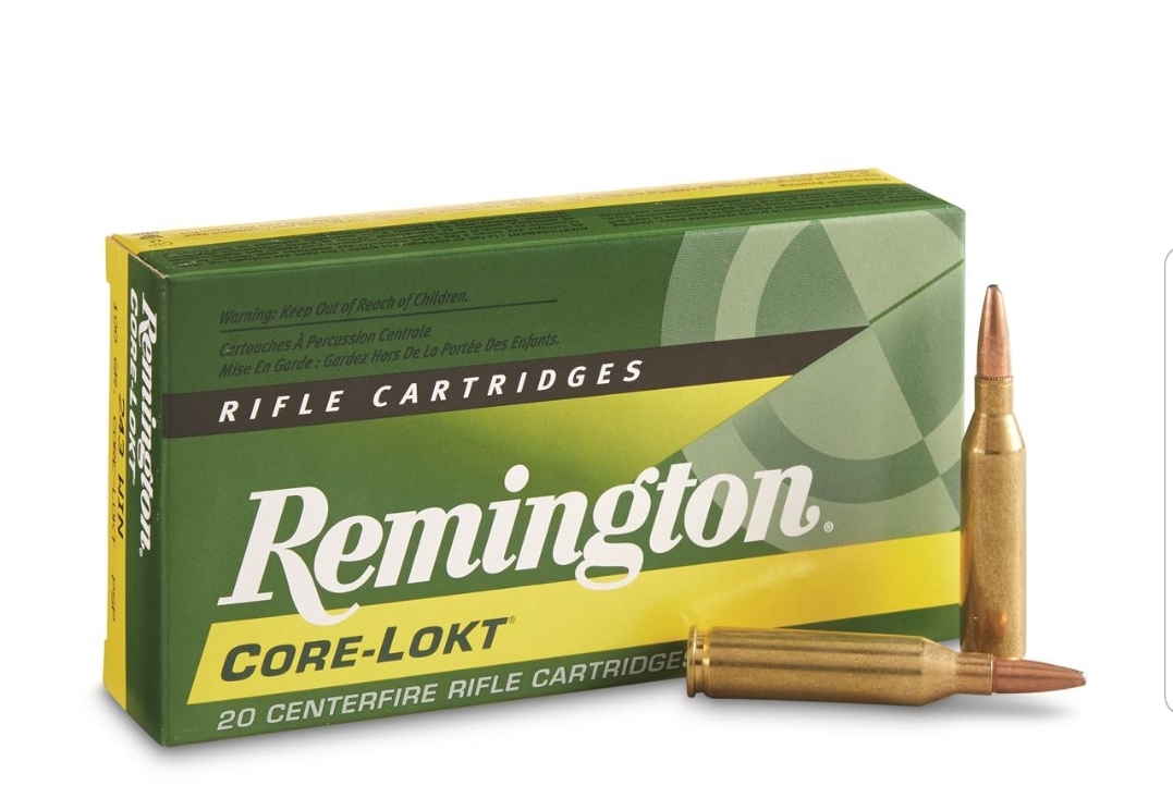 Screenshot_20211028-191416_Chrome