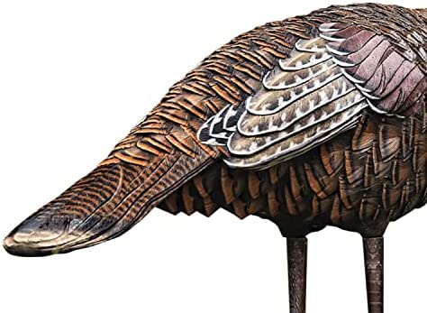 511b8oD7+2L._AC_SY1000_