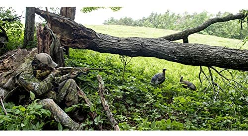 5158zL54tML._AC_SY1000_