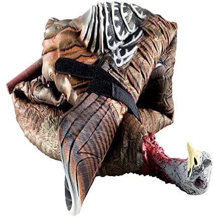 51Dg2eEOvpL._AC_SY1000_