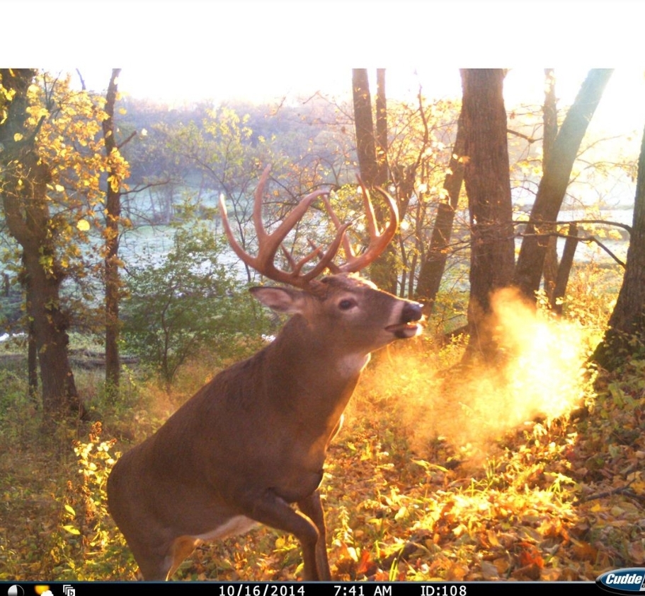 Screenshot_20220316-125600_Chrome